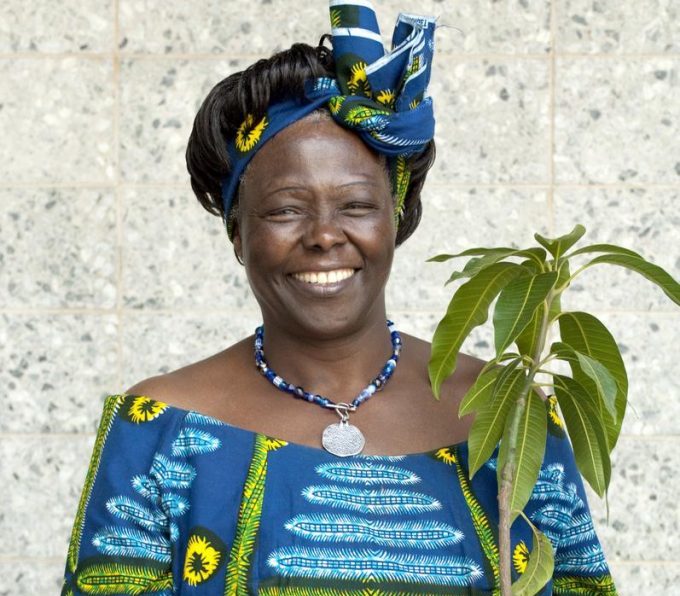 Wangari Maathai - Agilisys